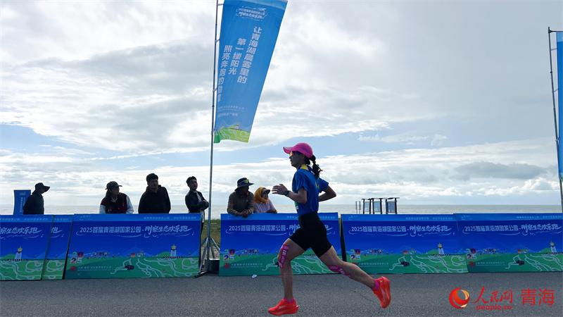 生态的辽阔 生态的辽阔