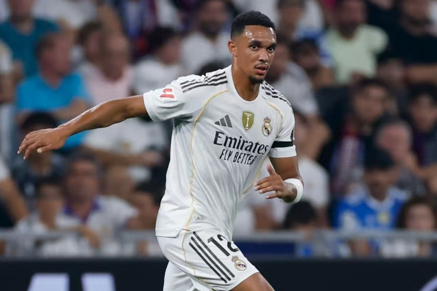 net, 的比赛中担, wjd