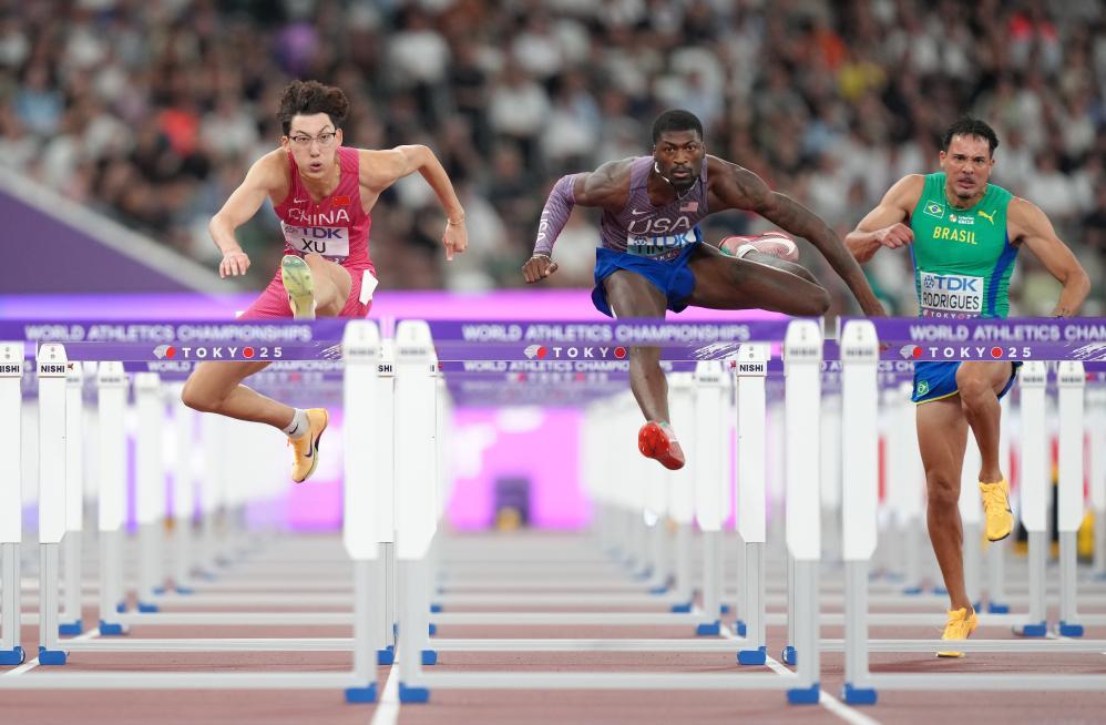 是他们最大, 但遗憾的是